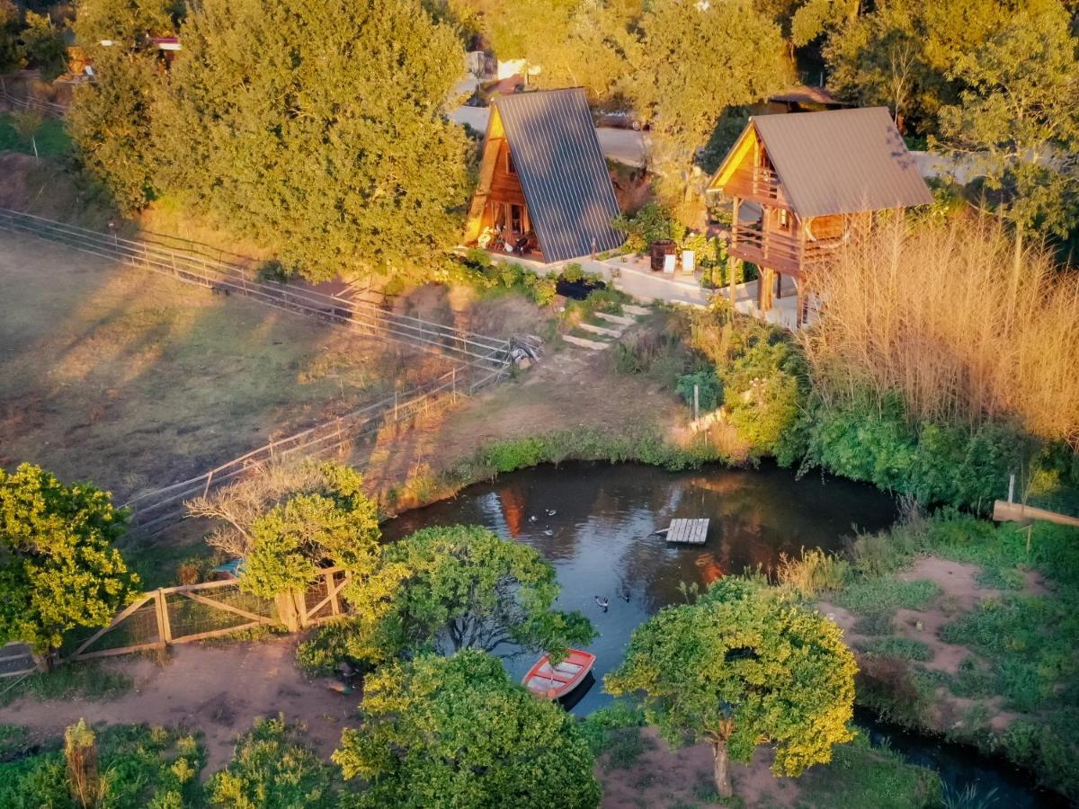Casa Da Avo - Vale Da Silva Villas Албергария-а-Веля Екстериор снимка