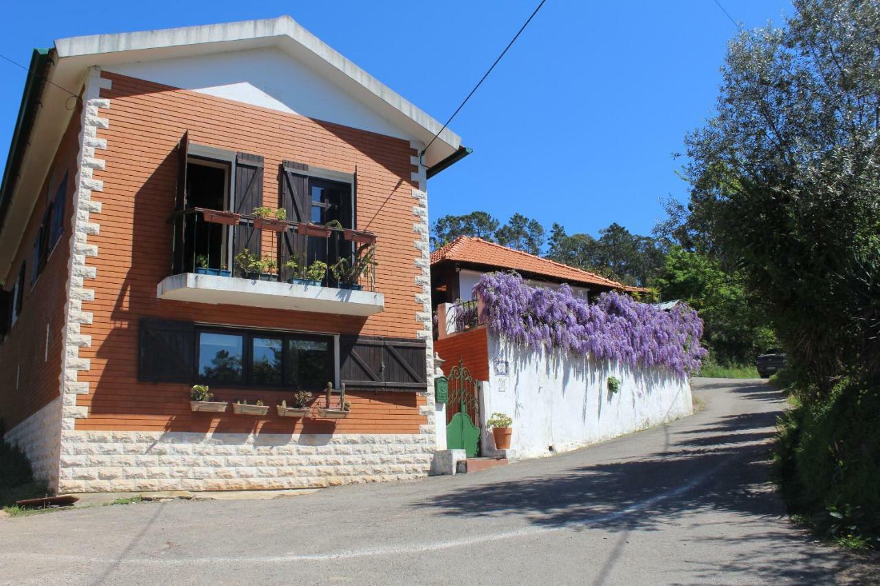 Casa Da Avo - Vale Da Silva Villas Албергария-а-Веля Екстериор снимка